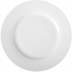 10 Dinner Plate120PC White
