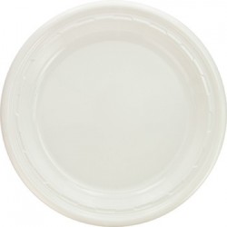 Famous Service Impact Plastic Dinnerware Plate