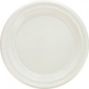 Famous Service Impact Plastic Dinnerware Plate