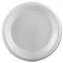 Plastifar Foam Dinnerware Plate 9 White