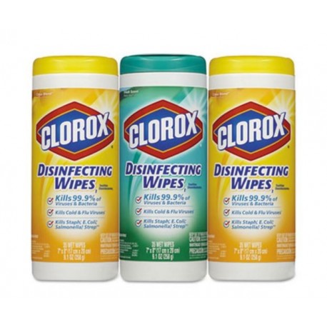 Clorox Disinfecting Wipes 7x8 Fresh Scent and Citrus Blend